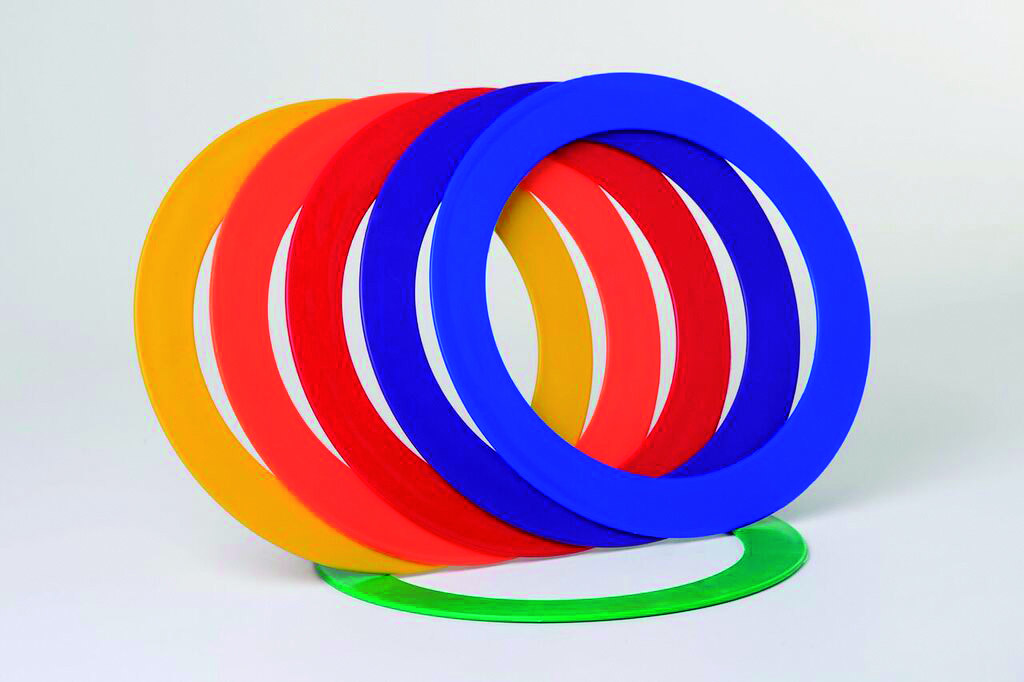 ANNEAU PLASTICO ROTOTECH JUNIOR EN POLYPROPYLNE AVEC LIVRET/3 DIAMTRE 240MM