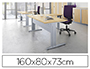 BUREAU EOL IDOL PITEMENT ALUMINIUM 160X80CM DCOR CHNE CLAIR