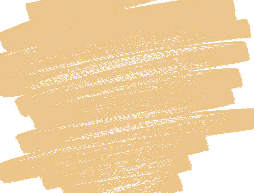 MARQUEUR PEINTURE PILOT PINTOR ENCRE COUVRANTE TOUS   SUPPORTS POINTE MOYENNE       COLORIS ABRICOT NEON