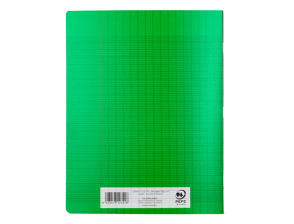 CAHIER PIQURE LIDERPAPEL COUVERTURE PP 170X220MM 96P SEYES COLORIS VERT