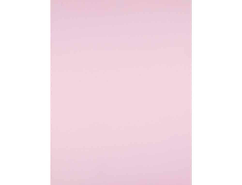 PAPIER CARTONNE LIDERPAPEL 50X65CM 180GR COLORIS ROSE PAQUET 25 FEUILLES