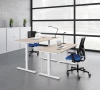 BUREAU REGLABLE EN HAUTEUR 180x80 2 MOTEURS