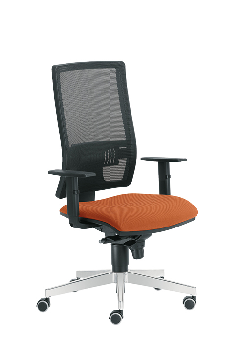 SIEGE DE TRAVAIL ERGONOMIQUE  AVEC ACCOUDOIRS 