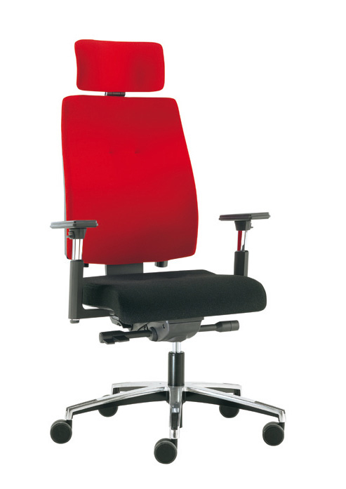 SIEGE DE TRAVAIL ERGONOMIQUE ACCOUDOIRS 4D