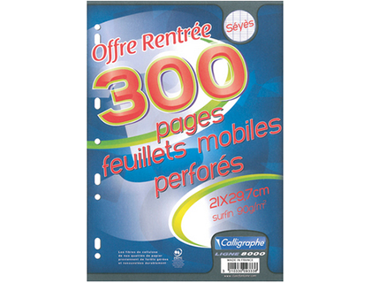 Feuillets mobiles A4 Sys 90g x300